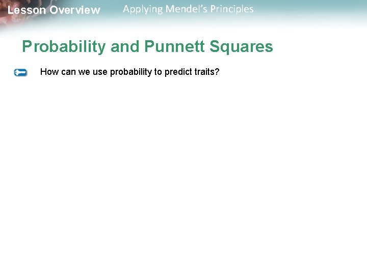 Lesson Overview Applying Mendel’s Principles Probability and Punnett Squares How can we use probability