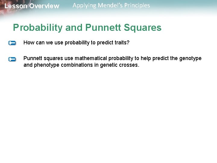 Lesson Overview Applying Mendel’s Principles Probability and Punnett Squares How can we use probability