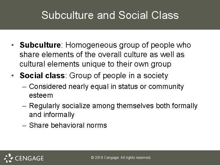 Subculture and Social Class • Subculture: Homogeneous group of people who share elements of