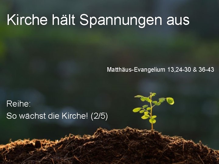 Kirche hält Spannungen aus Matthäus-Evangelium 13, 24 -30 & 36 -43 Reihe: So wächst