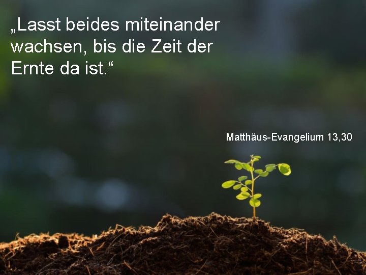 „Lasst beides miteinander wachsen, bis die Zeit der Ernte da ist. “ Matthäus-Evangelium 13,