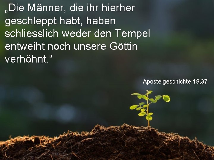 „Die Männer, die ihr hierher geschleppt habt, haben schliesslich weder den Tempel entweiht noch