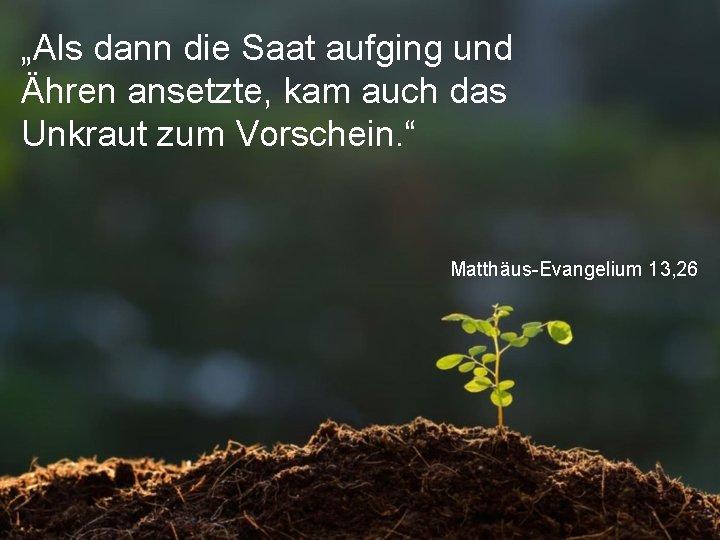 „Als dann die Saat aufging und Ähren ansetzte, kam auch das Unkraut zum Vorschein.