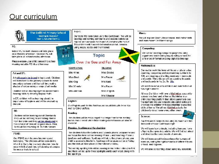 Our curriculum 