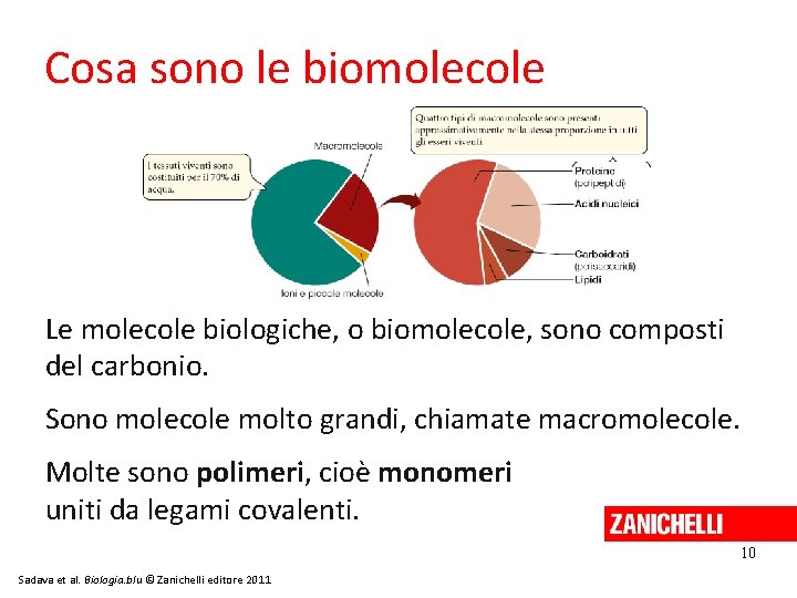 Cosa sono le biomolecole Le molecole biologiche, o biomolecole, sono composti del carbonio. Sono