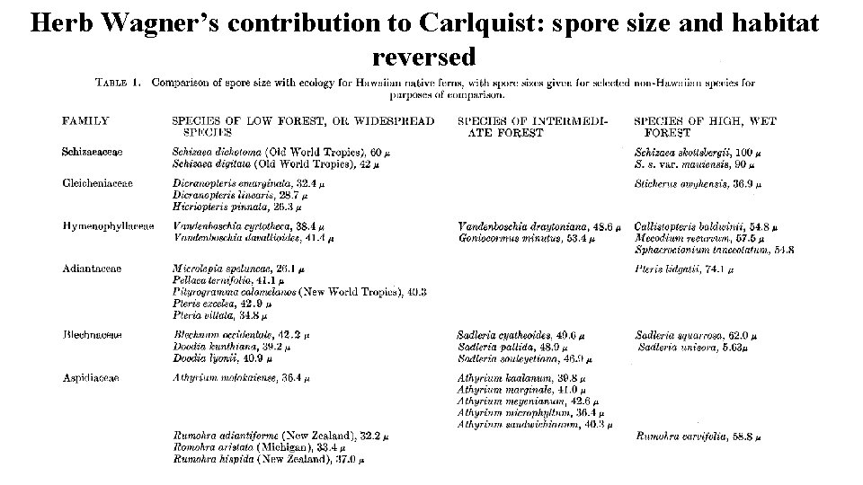 Herb Wagner’s contribution to Carlquist: spore size and habitat reversed 