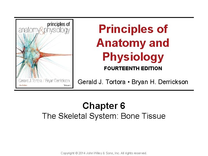 PRINCIPLES OF ANATOMY AND PHYSIOLOGY 16TH EDITION AUTHORS TORTORA AND DERRICKSON PUBLISHER WILEY visual data 5