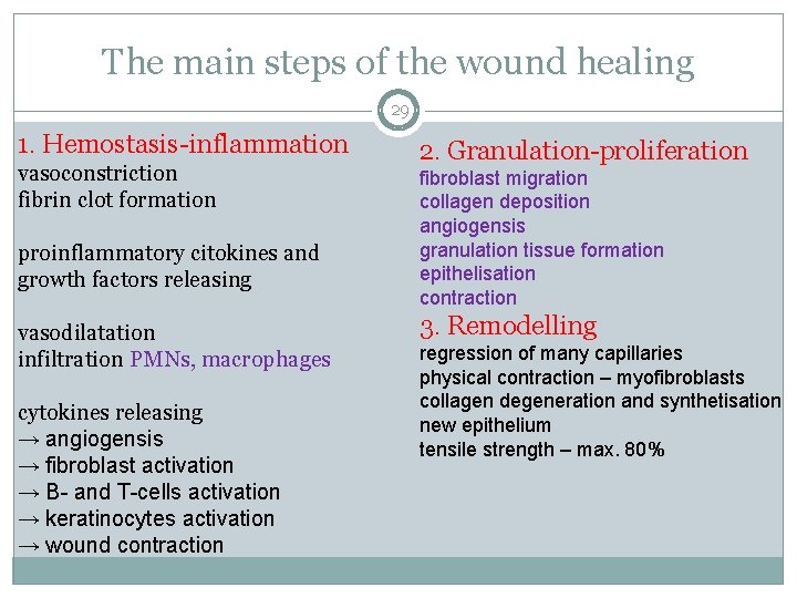 The main steps of the wound healing 29 1. Hemostasis-inflammation vasoconstriction fibrin clot formation