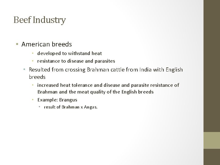 Beef Industry • American breeds • developed to withstand heat • resistance to disease