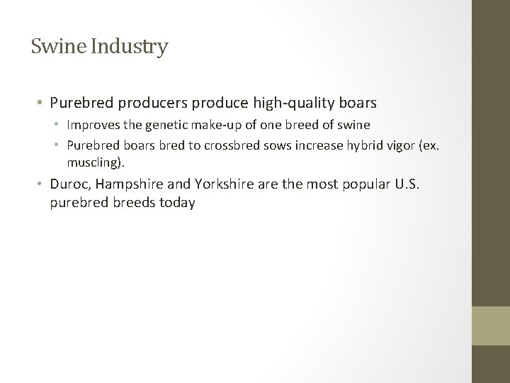 Swine Industry • Purebred producers produce high-quality boars • Improves the genetic make-up of