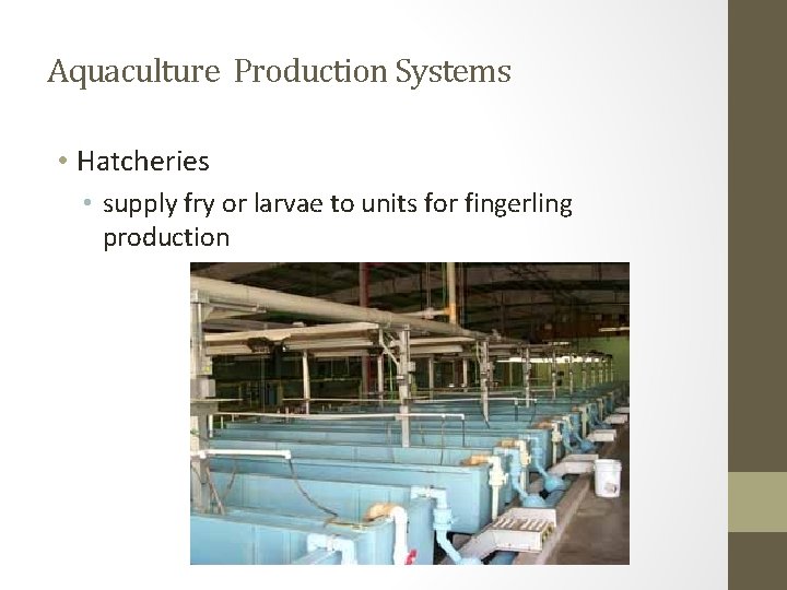Aquaculture Production Systems • Hatcheries • supply fry or larvae to units for fingerling