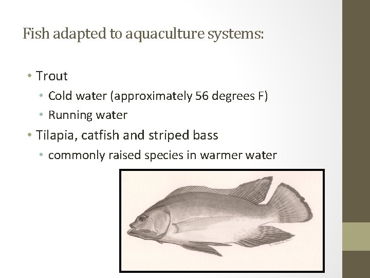 Fish adapted to aquaculture systems: • Trout • Cold water (approximately 56 degrees F)