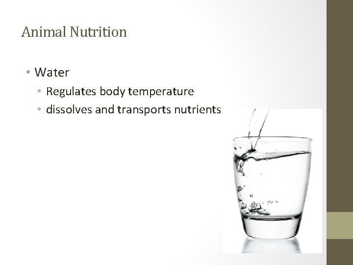 Animal Nutrition • Water • Regulates body temperature • dissolves and transports nutrients 