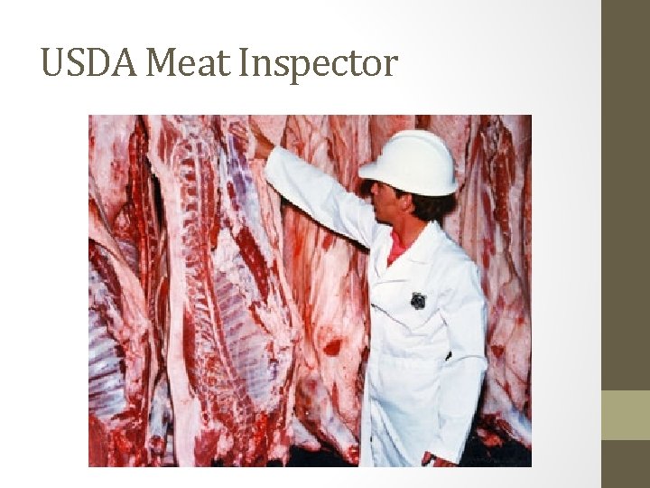 USDA Meat Inspector 