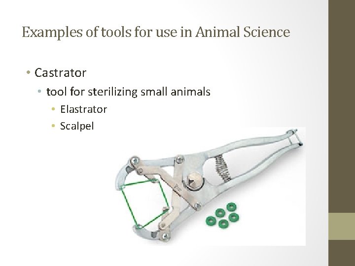 Examples of tools for use in Animal Science • Castrator • tool for sterilizing