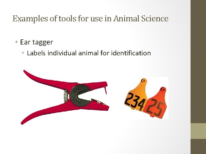 Examples of tools for use in Animal Science • Ear tagger • Labels individual