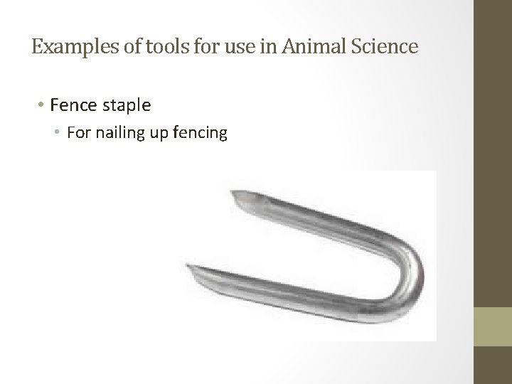 Examples of tools for use in Animal Science • Fence staple • For nailing