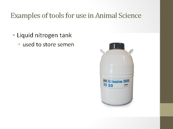 Examples of tools for use in Animal Science • Liquid nitrogen tank • used