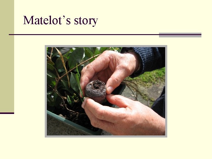 Matelot’s story 