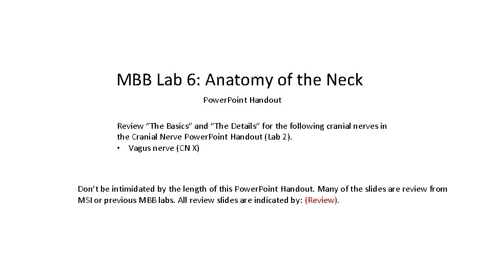 MBB Lab 6: Anatomy of the Neck Power. Point Handout Review ”The Basics” and