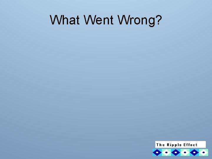 What Went Wrong? 