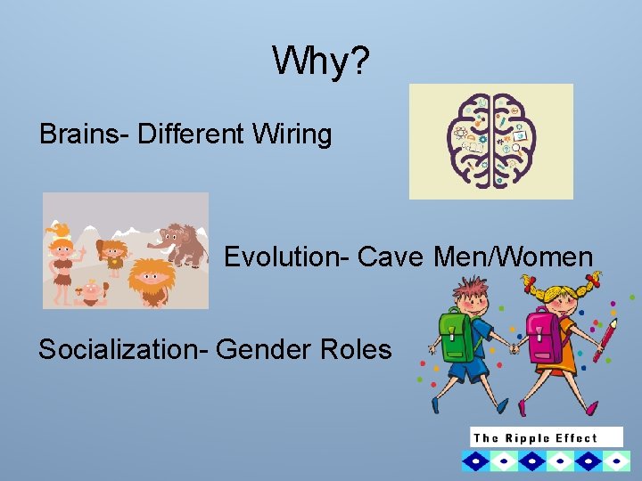 Why? Brains- Different Wiring Evolution- Cave Men/Women Socialization- Gender Roles 