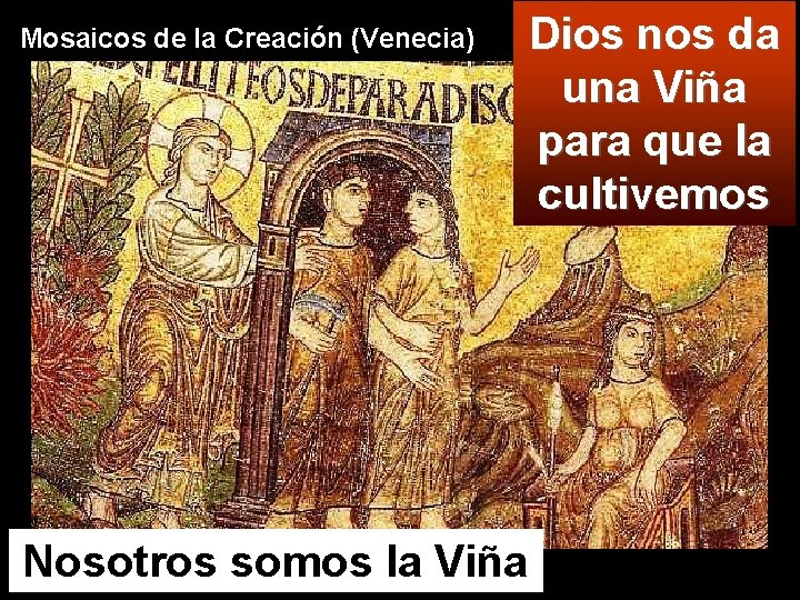 Mosaicos de la Creación (Venecia) Dios nos da una Viña para que la cultivemos