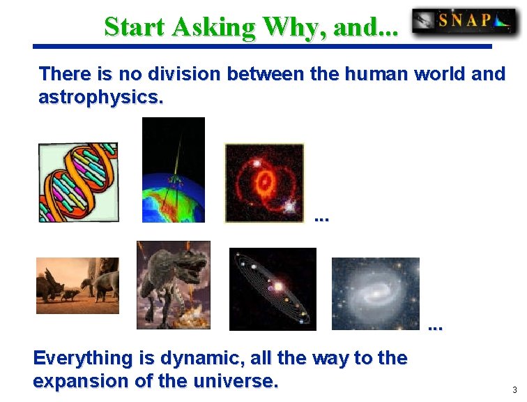 Start Asking Why, and. . . There is no division between the human world