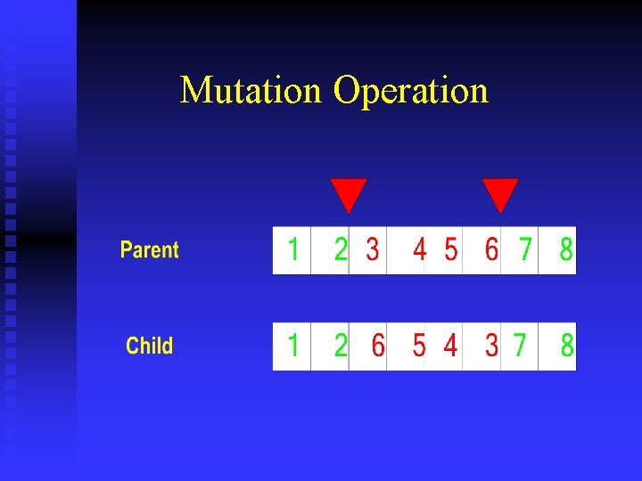 Mutation Operation 