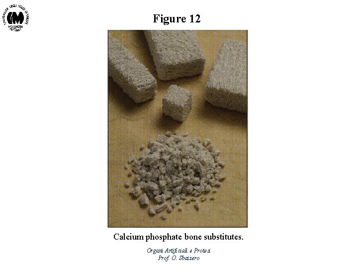 Figure 12 Calcium phosphate bone substitutes. Organi Artificiali e Protesi Prof. O. Sbaizero 