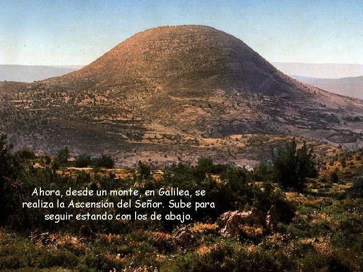 Ahora, desde un monte, en Galilea, se realiza la Ascensión del Señor. Sube para