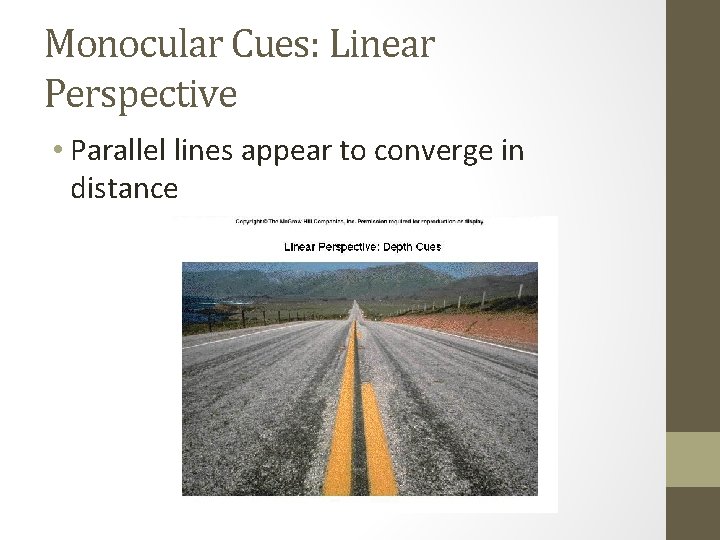 Monocular Cues: Linear Perspective • Parallel lines appear to converge in distance 