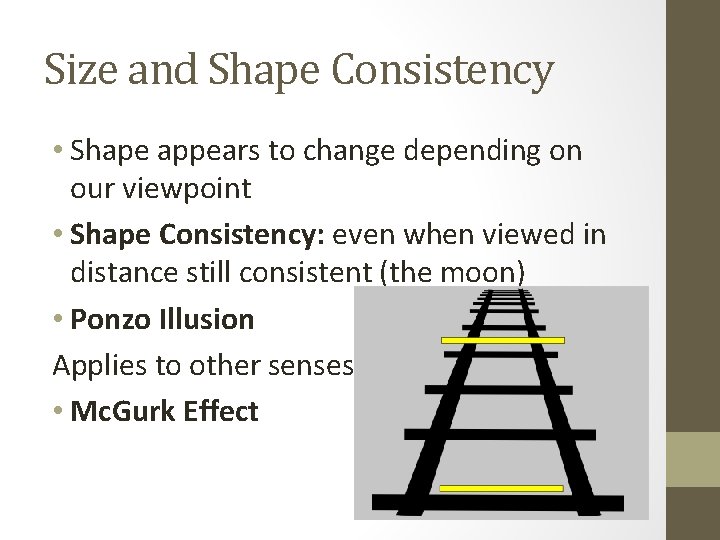 Size and Shape Consistency • Shape appears to change depending on our viewpoint •