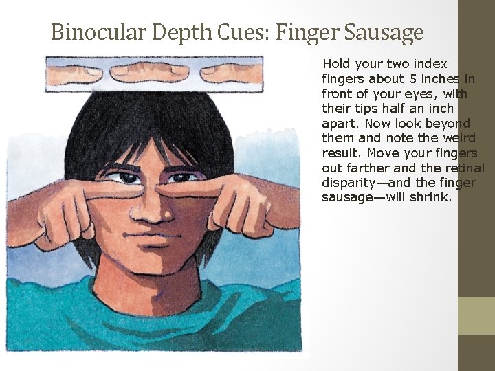 Binocular Depth Cues: Finger Sausage Hold your two index fingers about 5 inches in