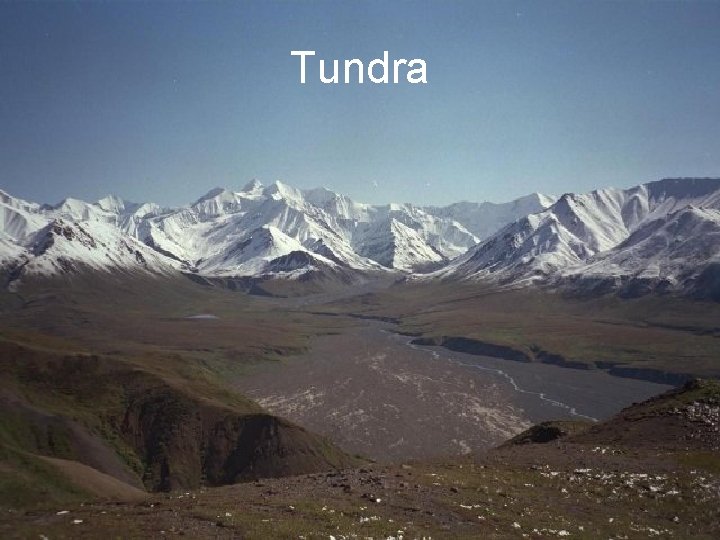 Tundra 