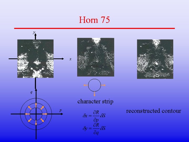 Horn 75 y x q character strip p reconstructed contour 