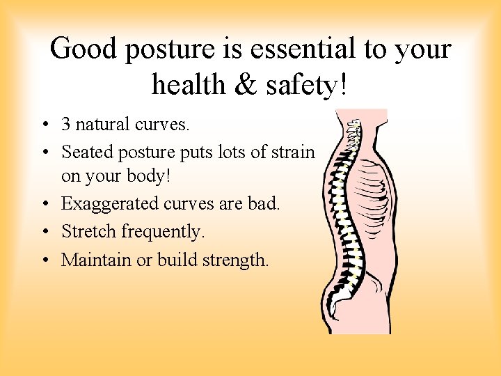 Good posture is essential to your health & safety! • 3 natural curves. • Good posture is essential to your health & safety! • 3 natural curves. •