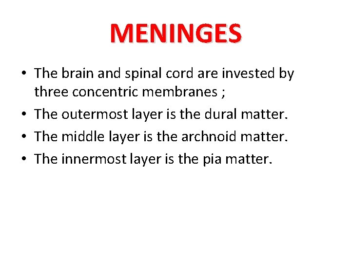 MENINGES • The brain and spinal cord are invested by three concentric membranes ;