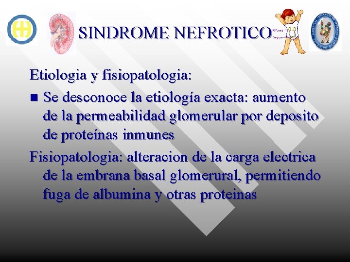 SINDROME NEFROTICO Etiologia y fisiopatologia: n Se desconoce la etiología exacta: aumento de la