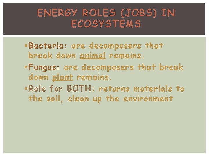 ENERGY ROLES (JOBS) IN ECOSYSTEMS § Bacteria: are decomposers that break down animal remains.