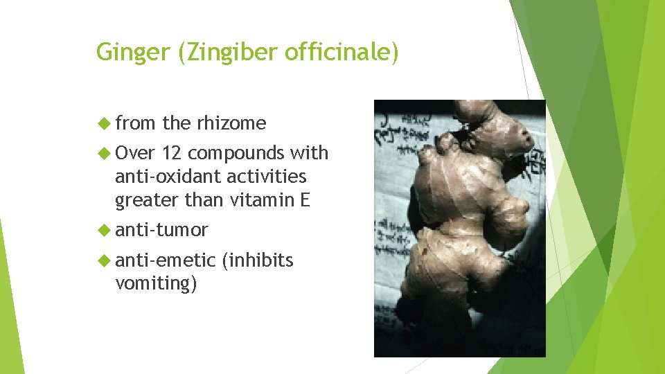 Ginger (Zingiber officinale) from the rhizome Over 12 compounds with anti-oxidant activities greater than