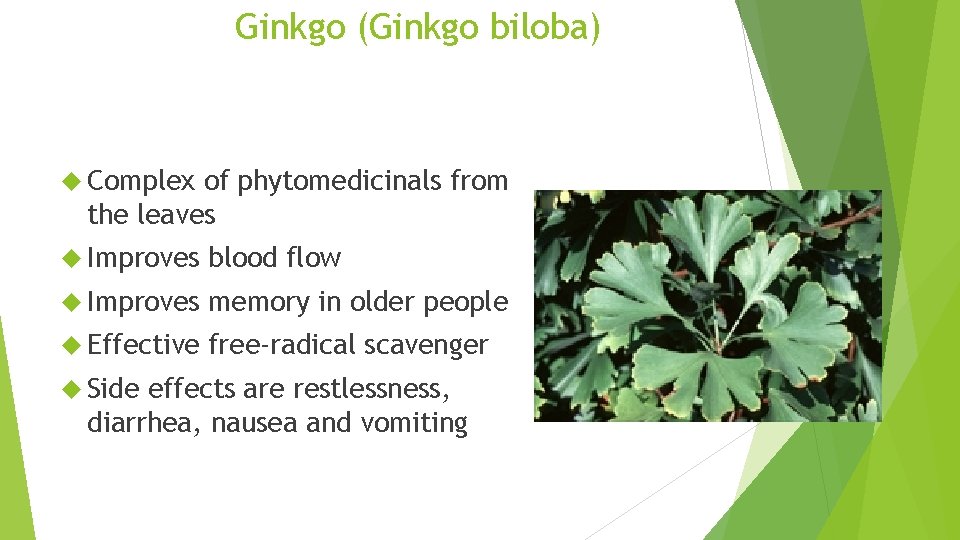 Ginkgo (Ginkgo biloba) Complex of phytomedicinals from the leaves Improves blood flow Improves memory