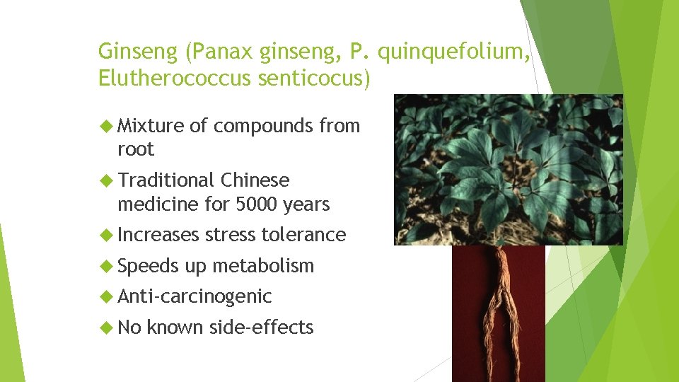 Ginseng (Panax ginseng, P. quinquefolium, Elutherococcus senticocus) Mixture of compounds from root Traditional Chinese