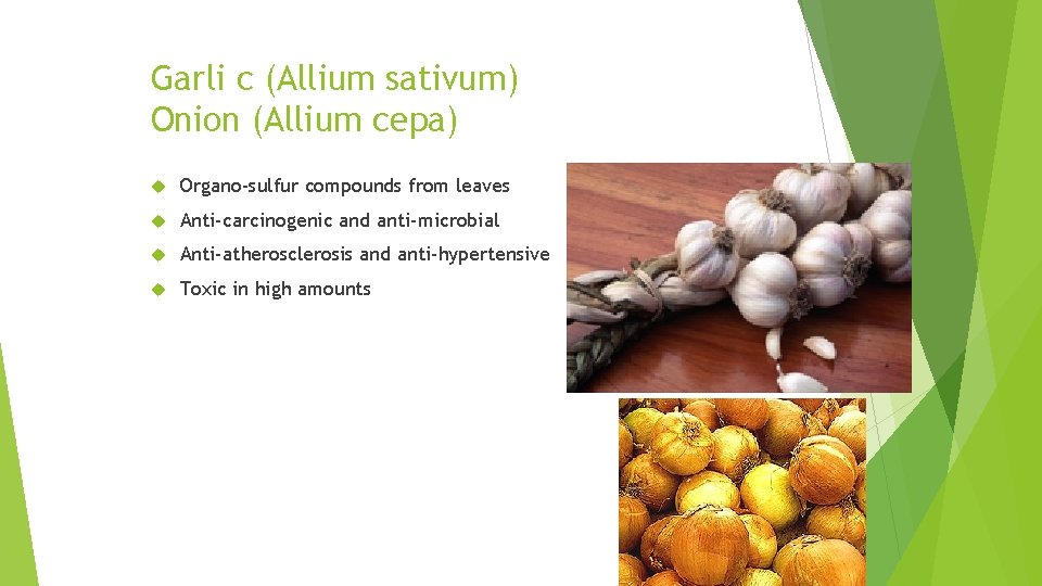 Garli c (Allium sativum) Onion (Allium cepa) Organo-sulfur compounds from leaves Anti-carcinogenic and anti-microbial