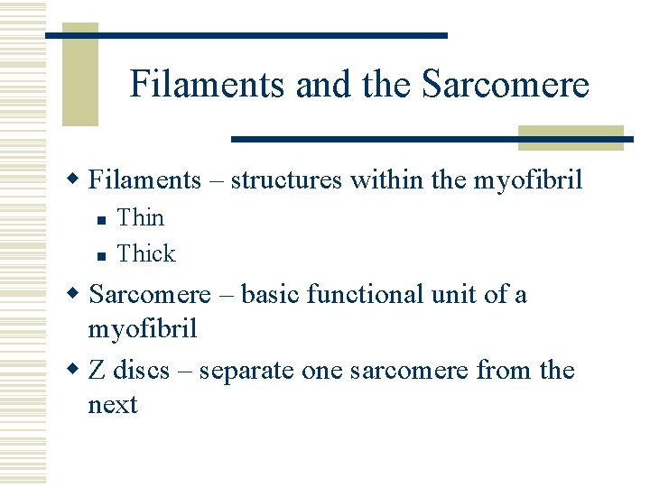 Filaments and the Sarcomere w Filaments – structures within the myofibril n n Thick