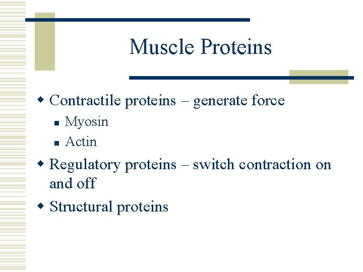 Muscle Proteins w Contractile proteins – generate force n n Myosin Actin w Regulatory