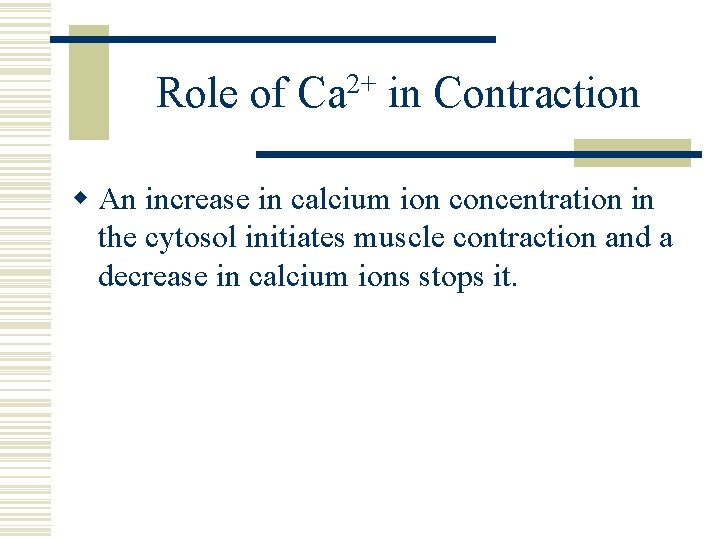 Role of Ca 2+ in Contraction w An increase in calcium ion concentration in