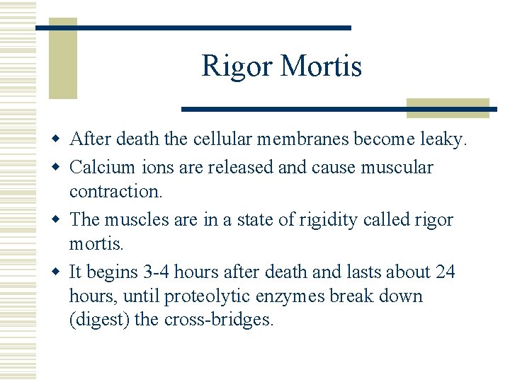 Rigor Mortis w After death the cellular membranes become leaky. w Calcium ions are