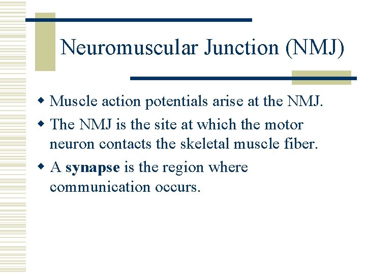 Neuromuscular Junction (NMJ) w Muscle action potentials arise at the NMJ. w The NMJ
