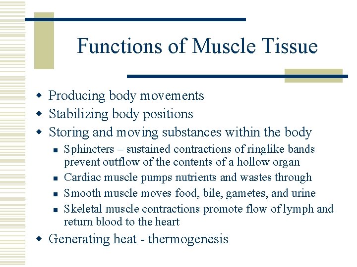 Functions of Muscle Tissue w Producing body movements w Stabilizing body positions w Storing
